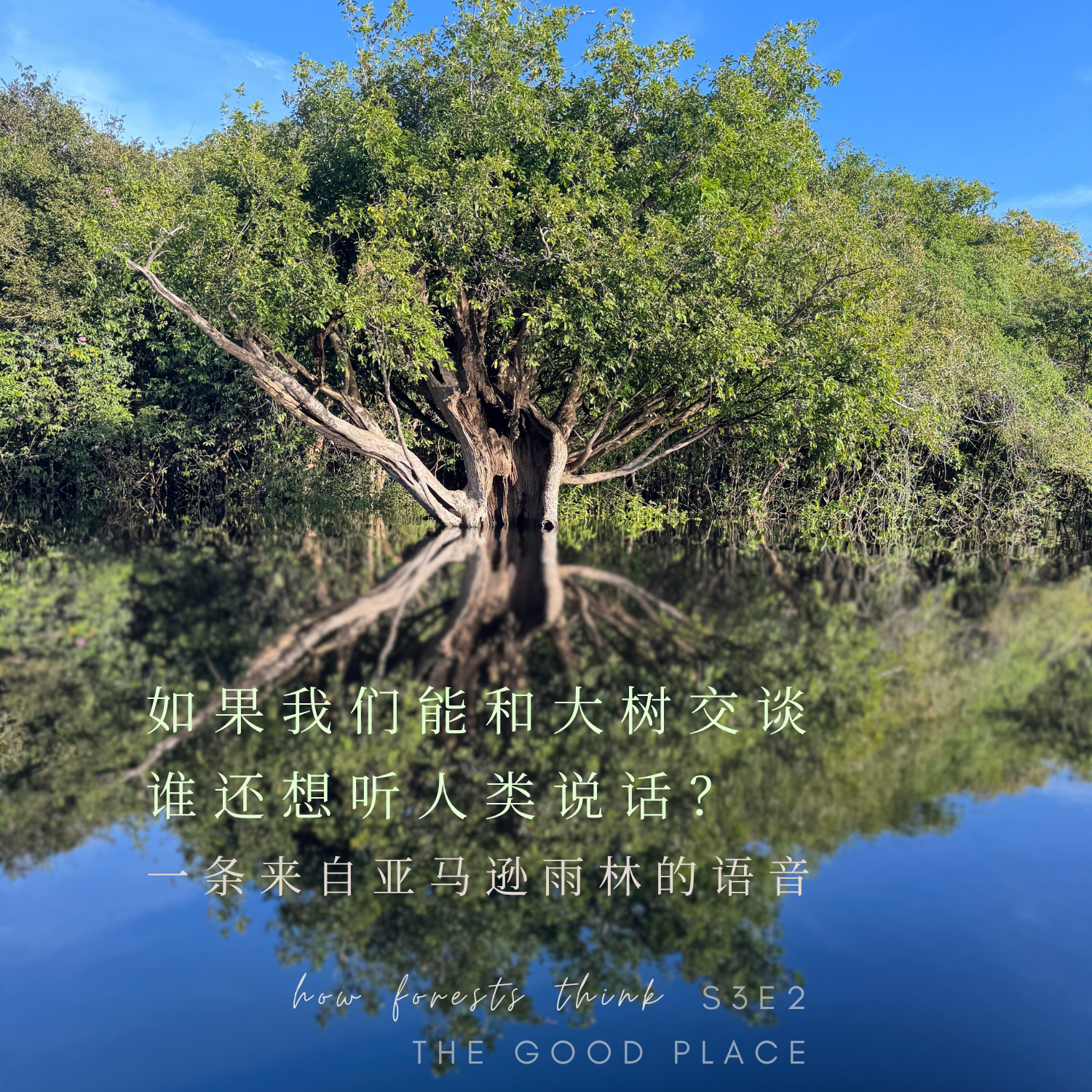 S3E2 cover